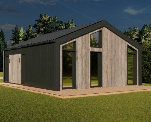 Arturas viz2 - Modhouse.lt