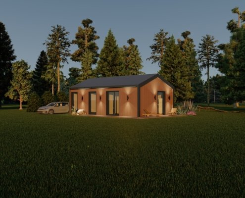 Laurynas viz su aplinka - Modhouse.lt
