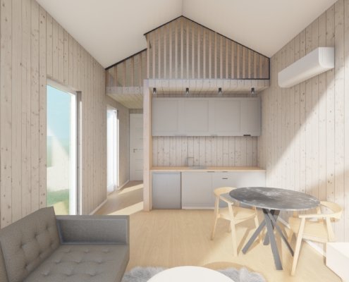 Paulius viz1 - Modhouse.lt