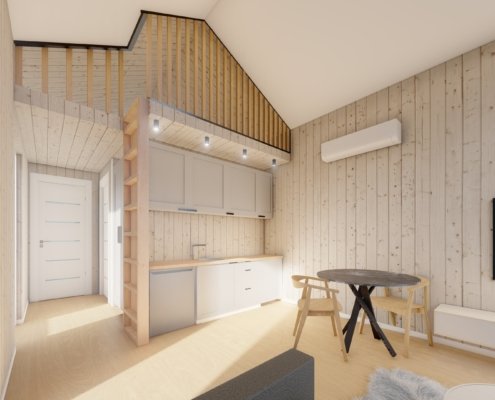 Paulius viz3 - Modhouse.lt